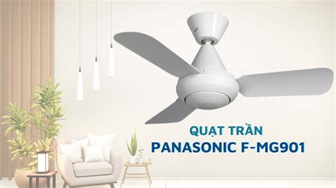 Panasonic F-MG305
