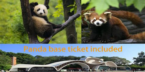Panda Base Ticket
