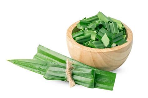 Pandan Leaves Substitute