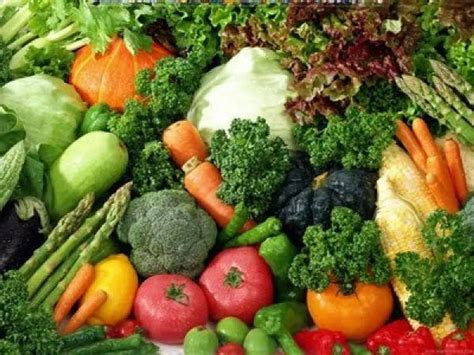 Panduan Membangun Bisnis Kuliner Kesehatan: Menu Sehat dan Nutritif