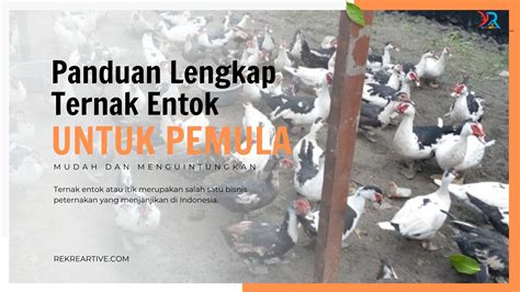 Panduan