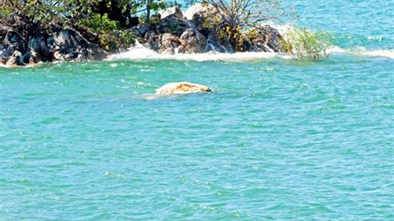 Panjang Garis Pantai, Danau Terbesar