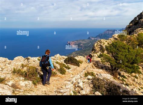 Panoramic Views Mallorca Tour