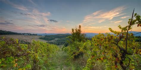 Panoramic views