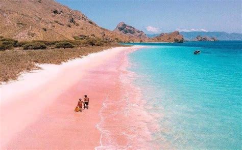 Pantai Pink NTT