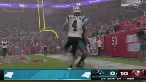 Panthers Gif