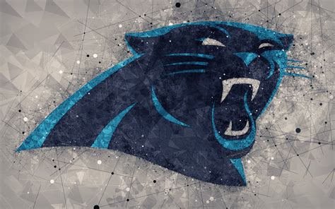 Panthers Picture