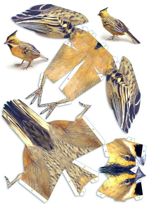 Bird Template Bird crafts, Bird template, Craft printing