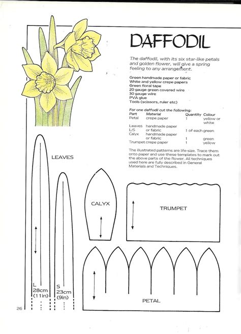 Paper Daffodils Template