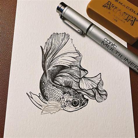 Paper for Ink Drawing Water