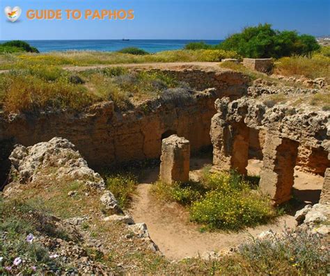 Paphos Tour Assessment