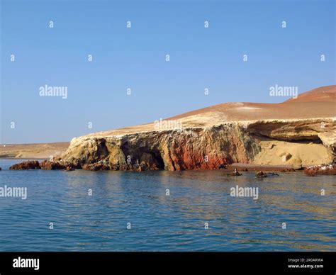 Paracas Coastline Peru