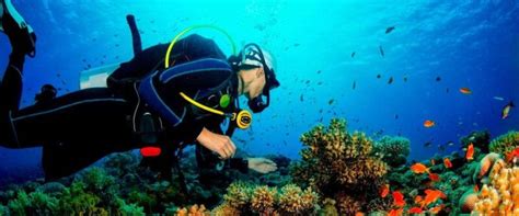 Paracas Diving Booking