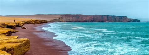 Paracas National Reserve Bus