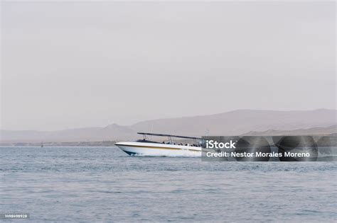 Paracas tour operator