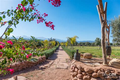 Paradis du Safran Visit