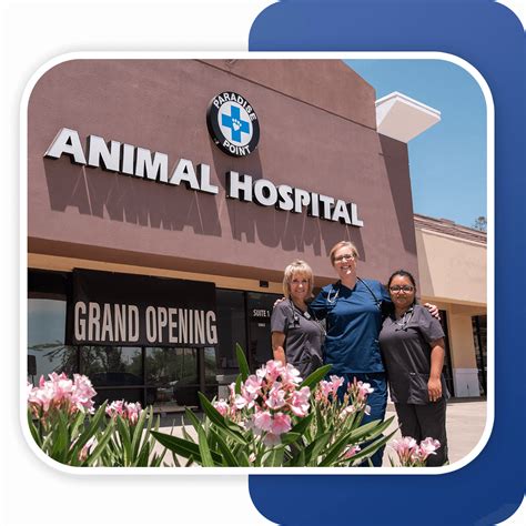 Providing Expert Veterinary Care for Your Beloved Pets at Paradise Point Animal Hospital