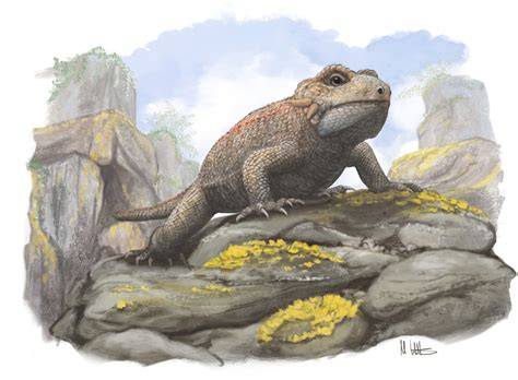 Parareptile adaptations