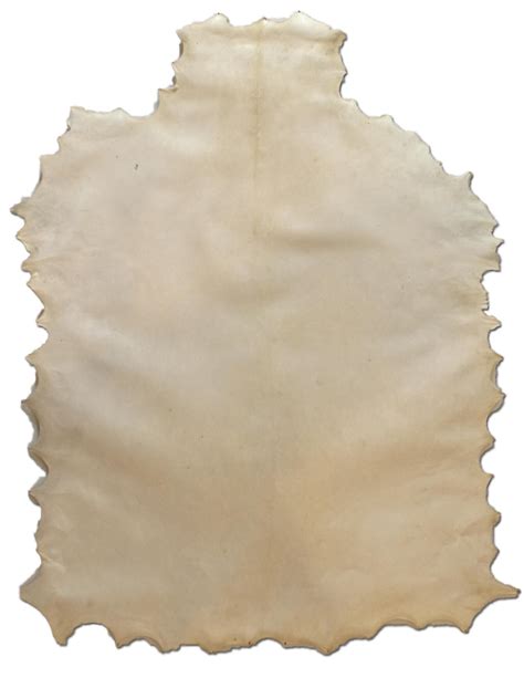 The Timeless Elegance of Vellum: Unleashing the Beauty of Parchment Made from Animal Skin