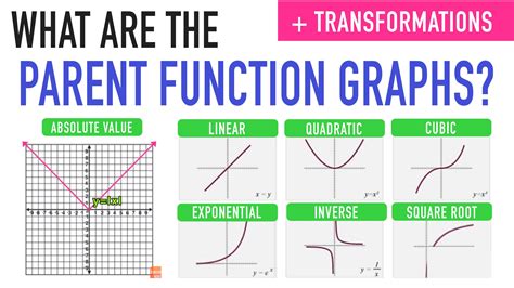 Parent Functions and Transformations - She Loves Math | Quadratic