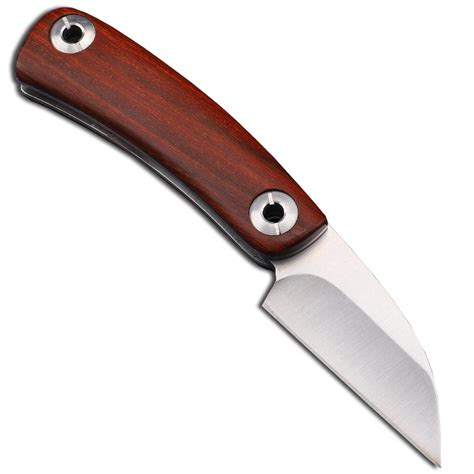 Paring Knife For Hunting