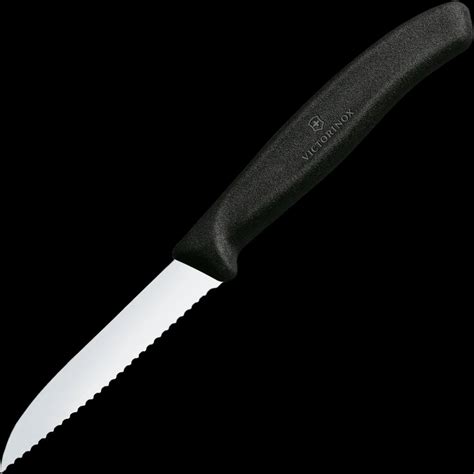 Paring Knife With Serrated Edge