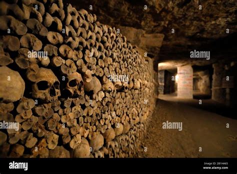 Paris Catacombs Skulls