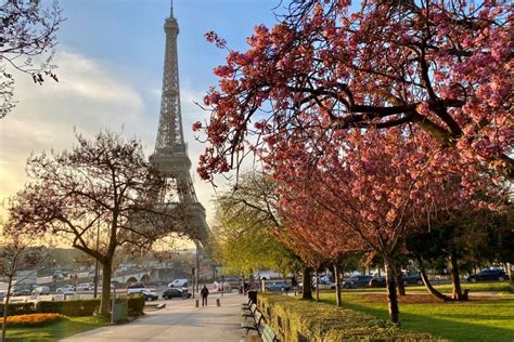 Paris Day Tour