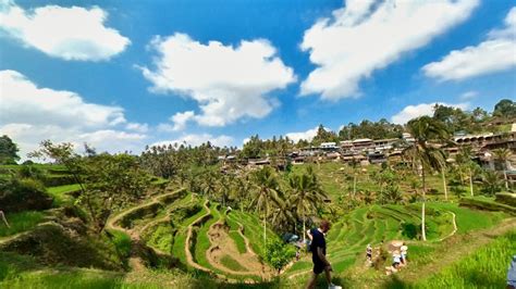 Pariwisata Subak Bali