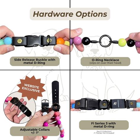 Embrace Adventure with your Furry Friend - Parks Project's Sustainable and Stylish Dog Collar