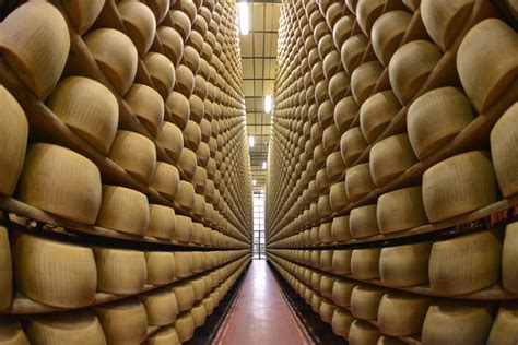 Parmesan Cheese Factory Tour