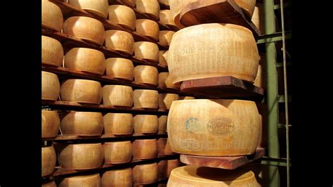 Parmesan Cheese Making