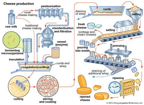Parmesan cheese making process