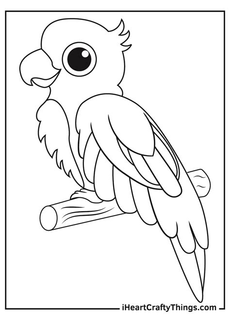 Parrot Colouring Picture