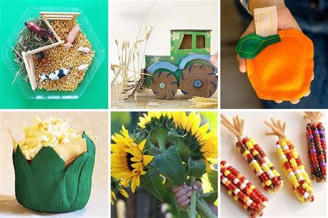 Partinicogrape Harvest Activities