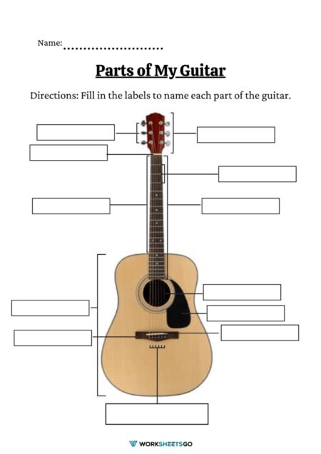 Parts Of The Guitar Worksheet