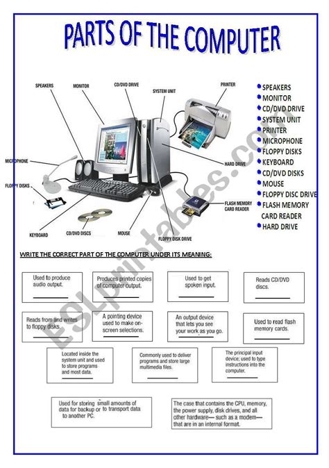 Parts Of A Computer Worksheet Printable - Lexia's Blog