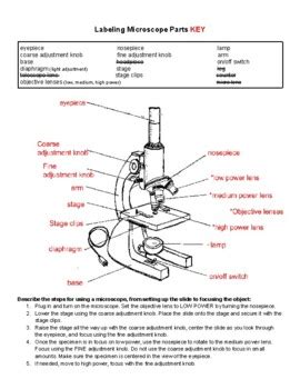 Parts Of A Microscope Worksheet Answer Key - Micropedia