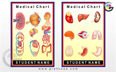 Parts Of Medical Chart