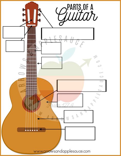 Parts Of The Guitar Worksheet