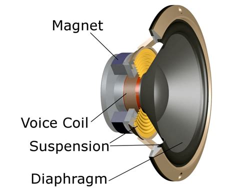 Parts of a Speaker