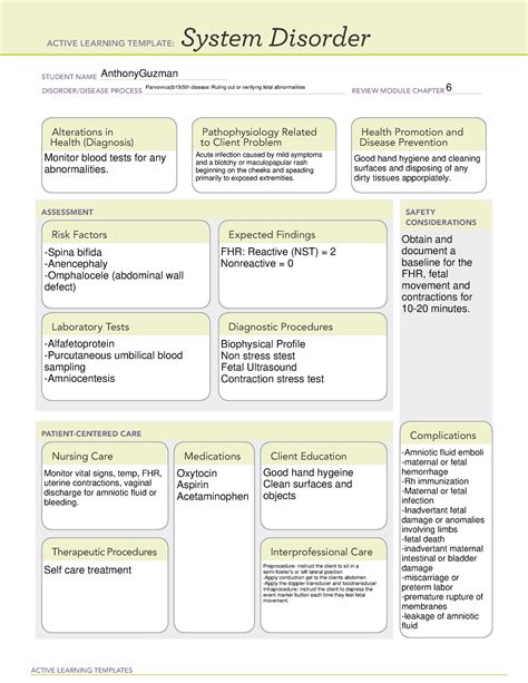 Parvovirus B19 System Disorder Template