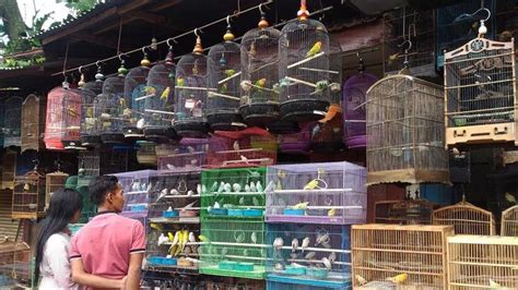 Pasar Burung Malang di Ragunan
