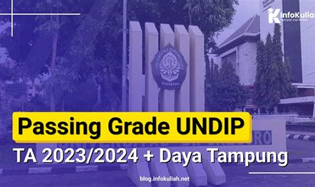 Strategi Jitu Raih Passing Grade 2024 Prodi Perbankan Undip Semarang