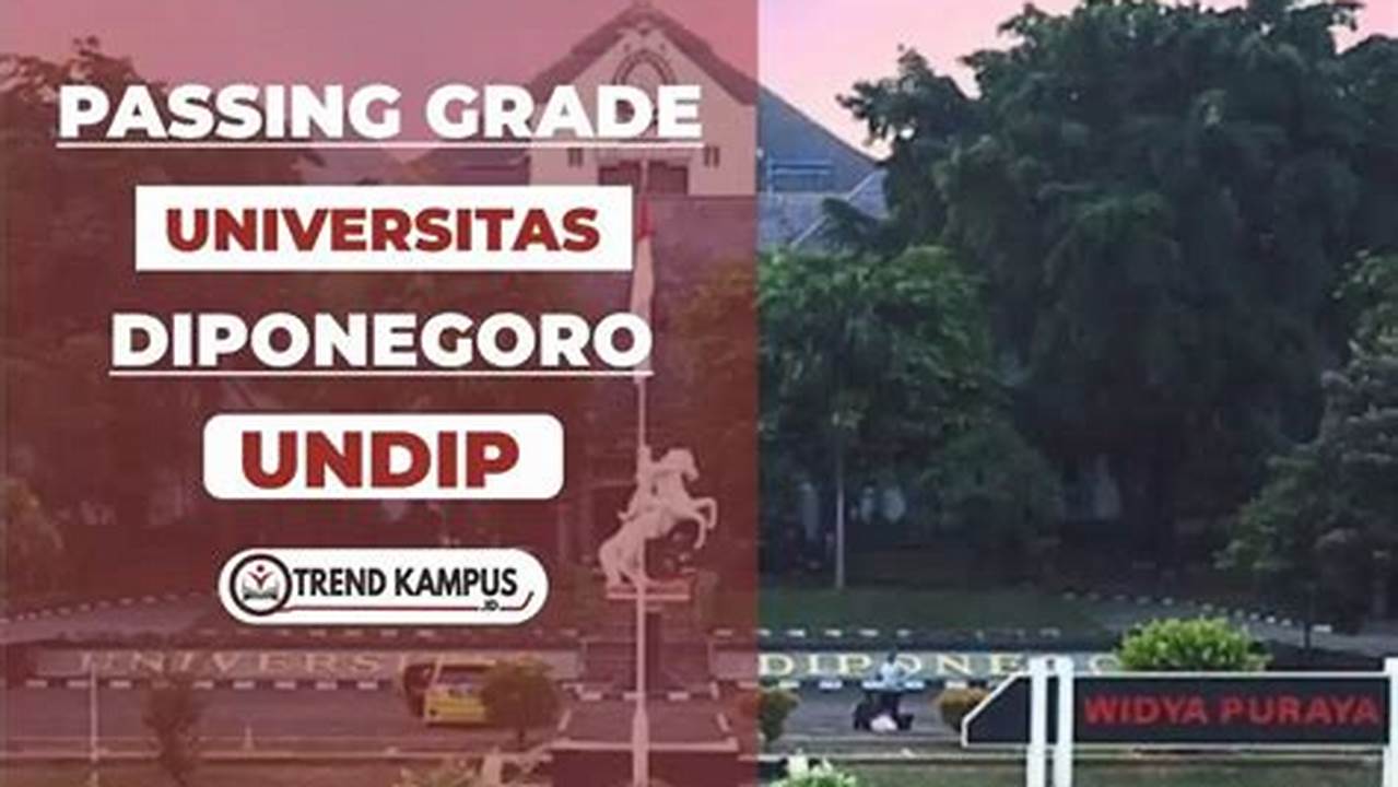 Panduan Mendobrak Pasing Grade 2024 S1 Ekonomi Undip Semarang