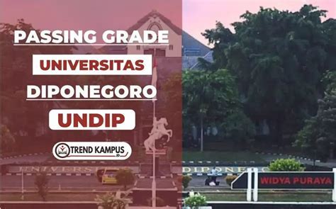 Pasing Grade 2024 S1  Ilmu Pemerintahan Undip Semarang