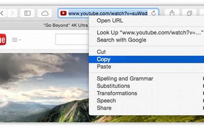 Paste The Youtube Video Url Into 4K Video Downloader