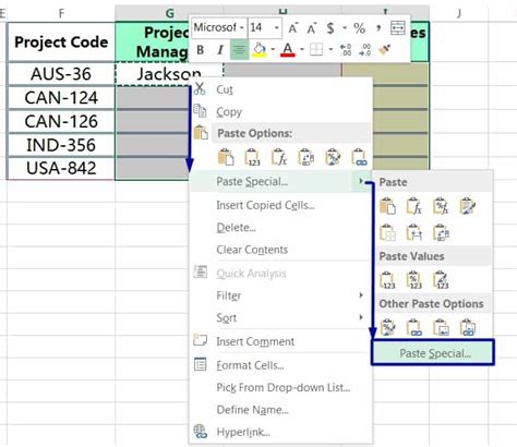 Paste “Formulas and Number Formats”