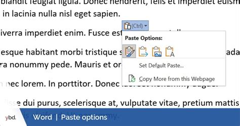 Paste Options