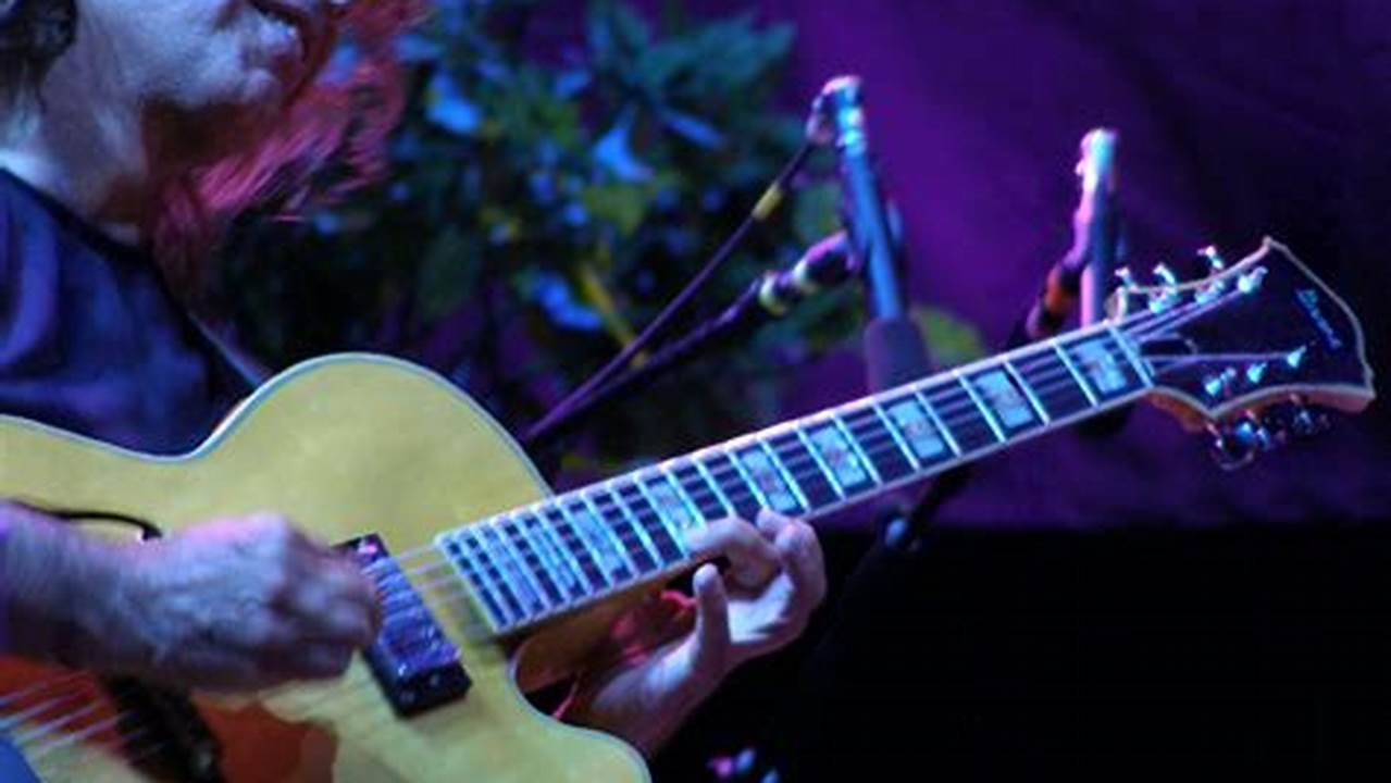 Pat Metheny Concerts 2024